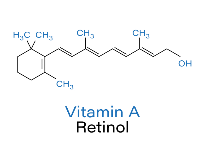 The Ultimate Guide to Ferulic Acid Serum: Your Skin's Fancy BFF - Illustrations 3 - Ferulic Acid Serum