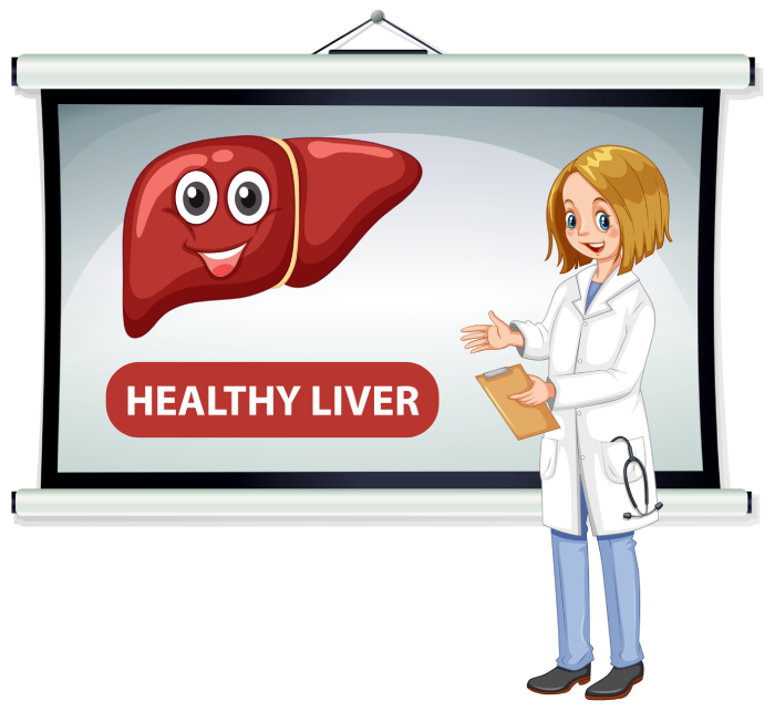 liver