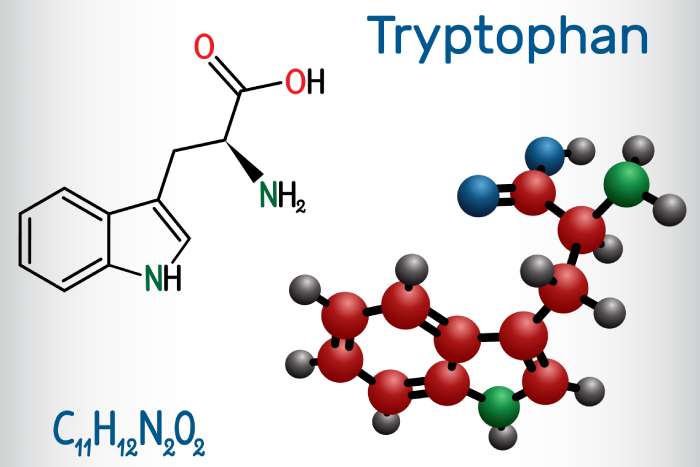 L-Tryptophan Powder Now Foods: Your Ticket to Mood Paradise - Illustrations 1 - L Tryptophan Powder