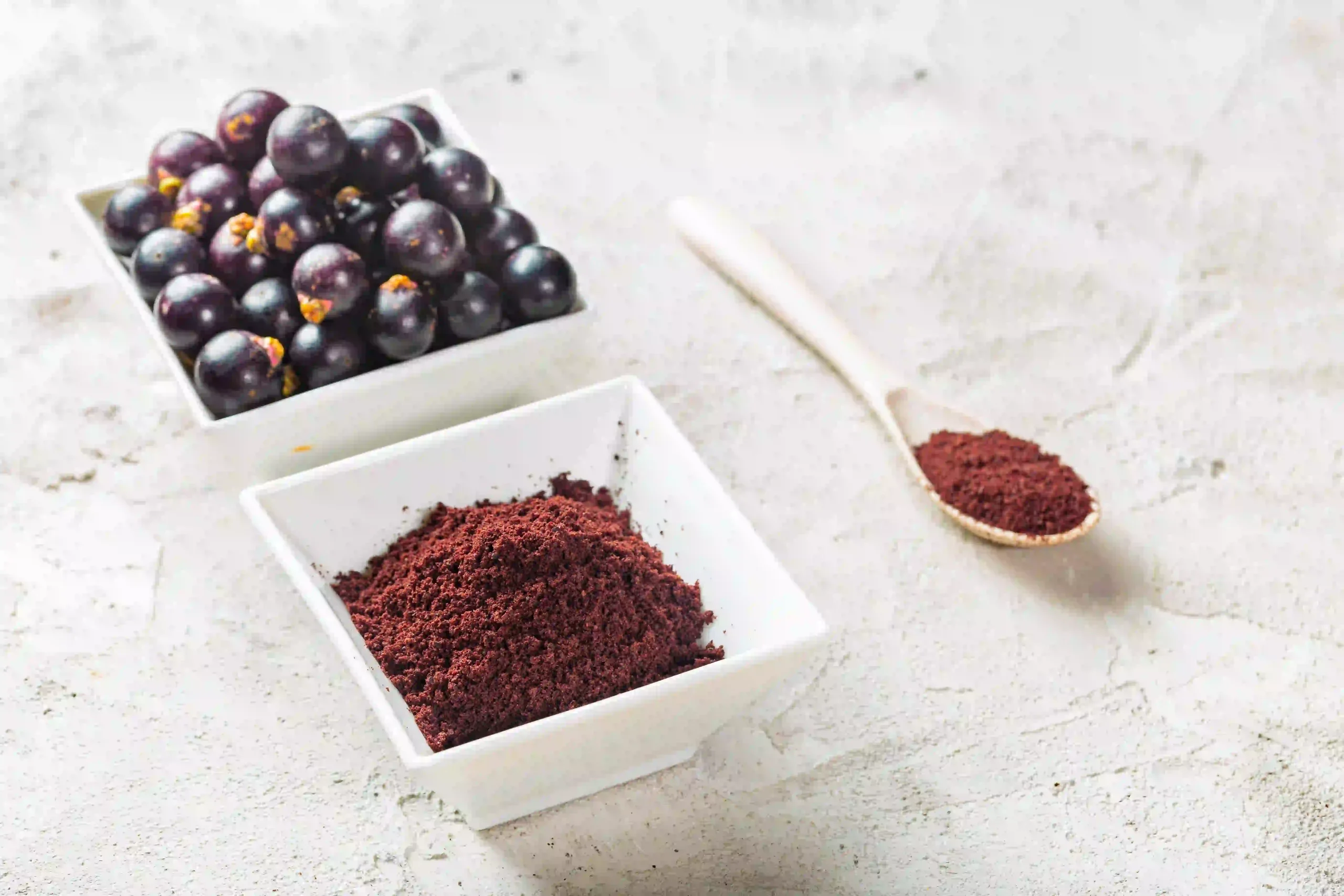 Acai Berry Powder 1