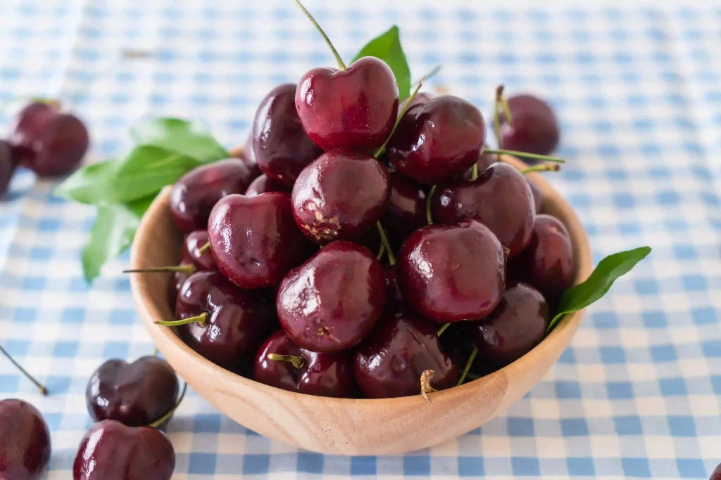 Acerola Cherry Plant 3