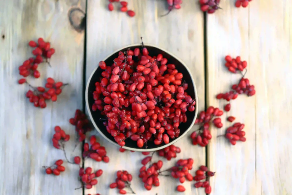 Barberry Extract 2