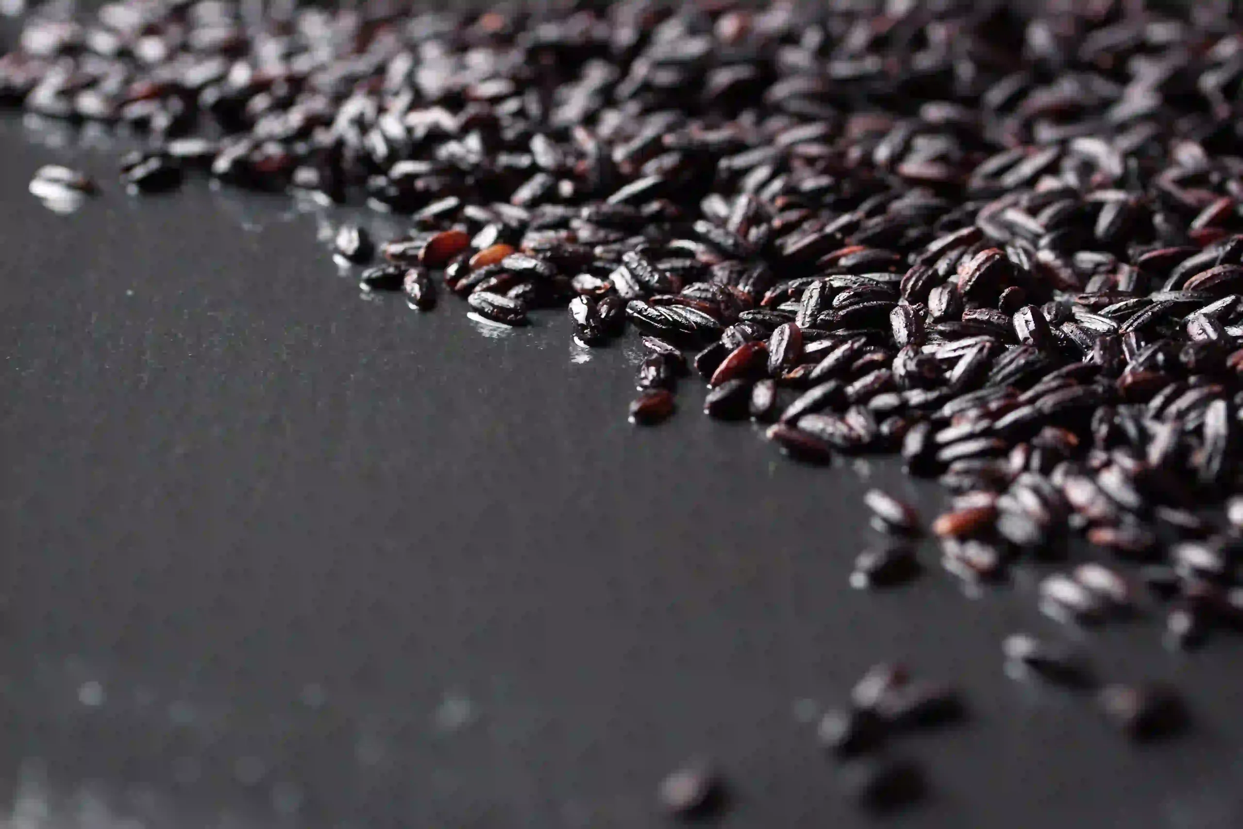 Black Rice Extract 1