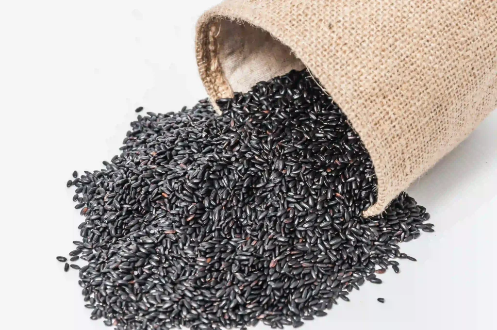 Black Rice Extract 2