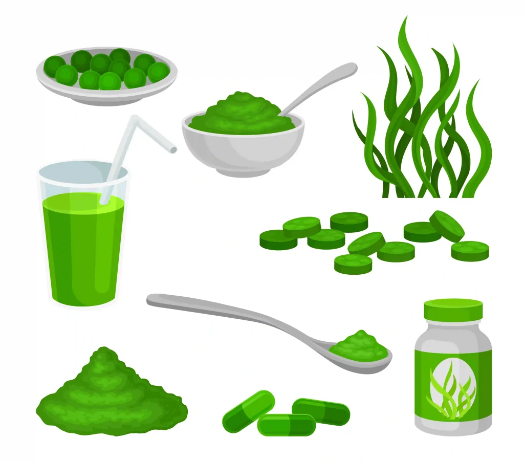 Chlorella Powder 3