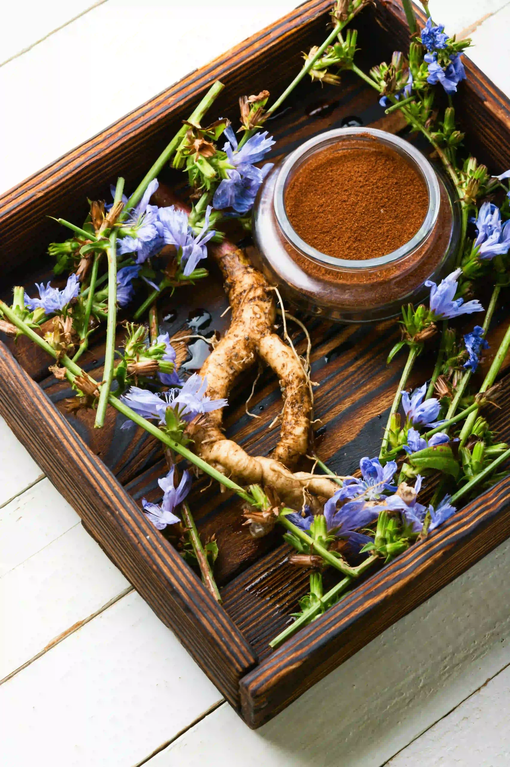 Gentian Root Extract 1