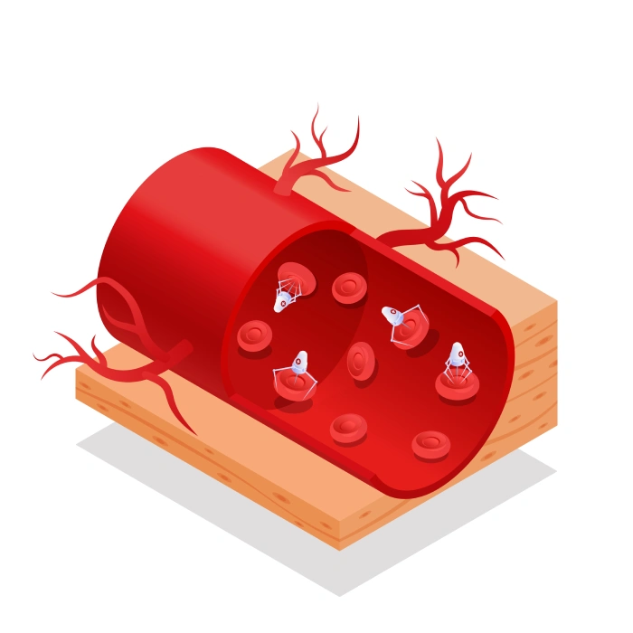 L-Citrulline vs L-Arginine benefit