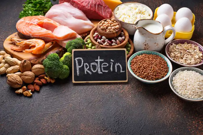 Protein Power: Cognitive Shield for Aging Minds