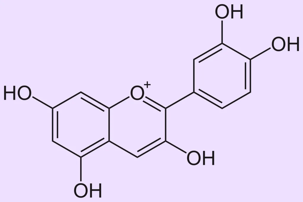 Procyanidins 2