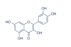 Quercetin Powder 4