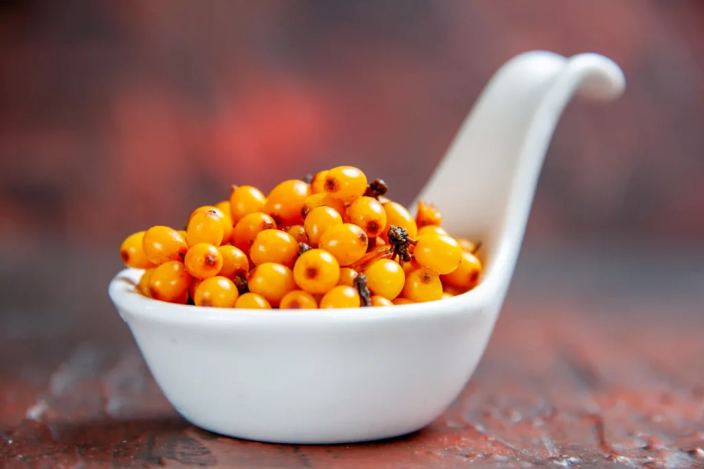 Sea Buckthorn Fruit 3