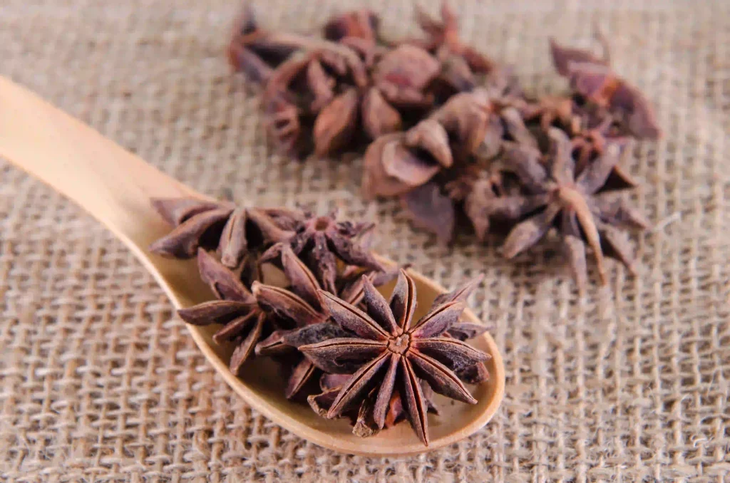 Star Anise Extract 2