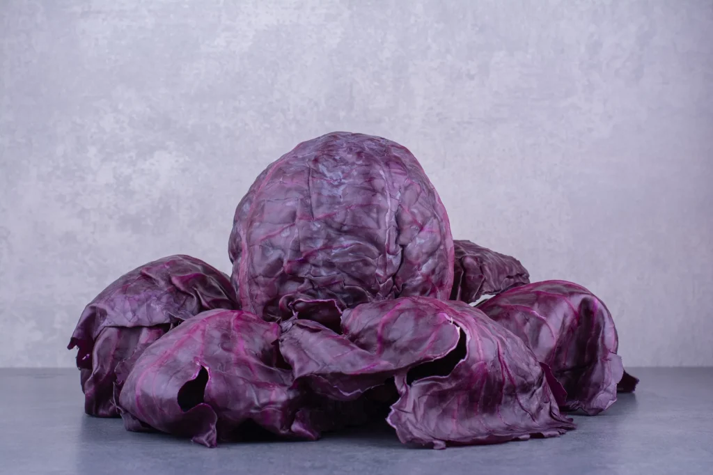 Violet Cabbage 2