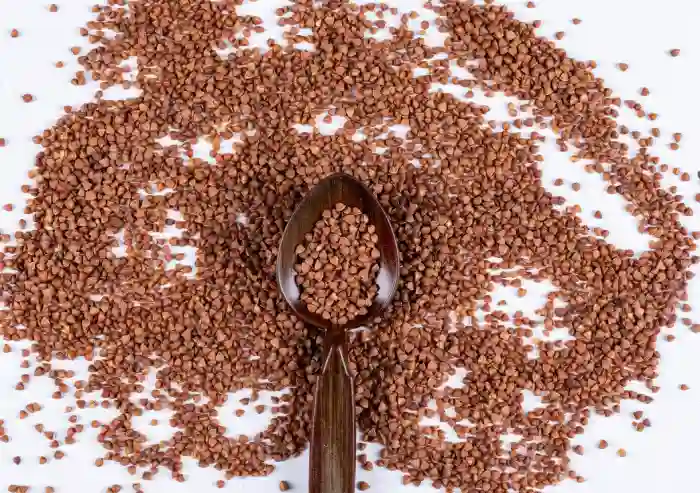 aframomum melegueta seed extract