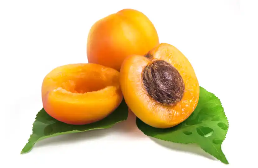 apricot extract