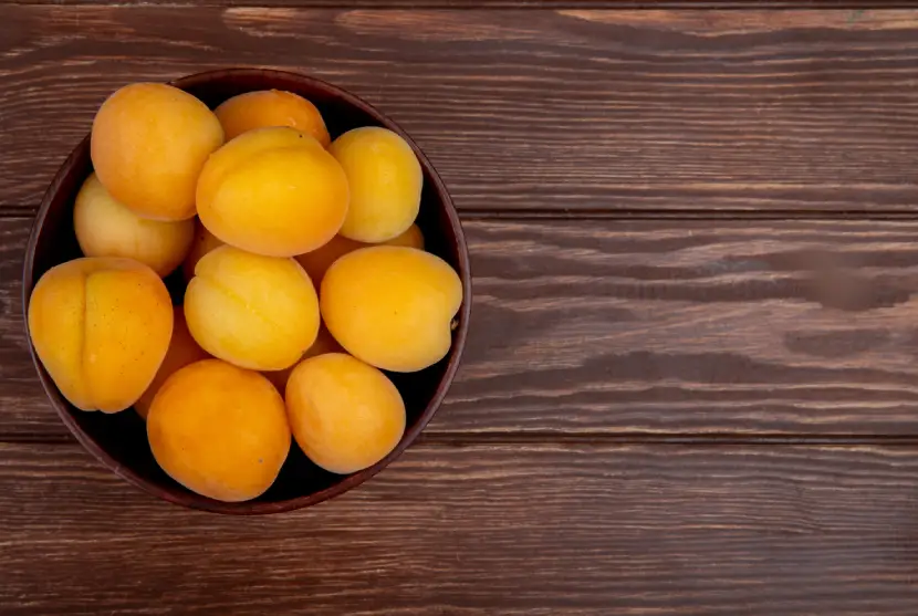 apricot fruit leather