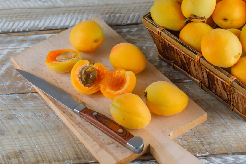 apricot fruit plant