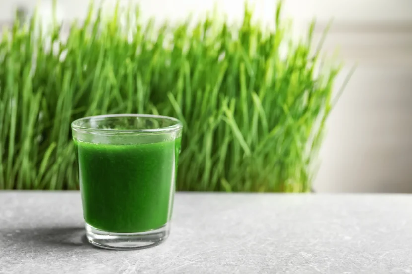 barley grass juice