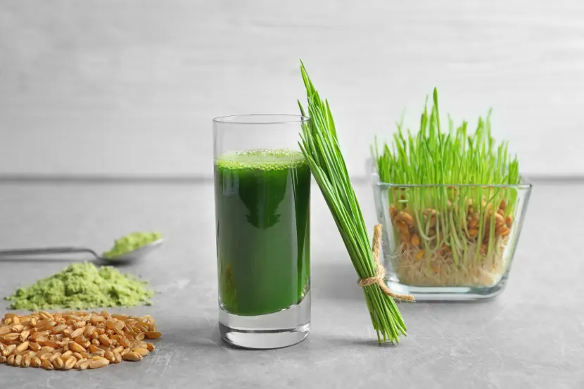 barley grass juice benefits