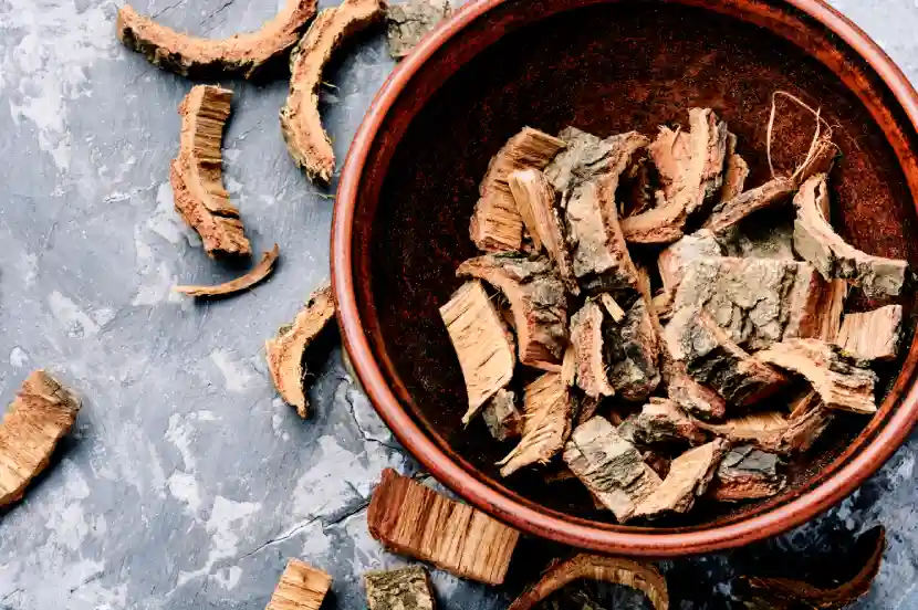 buckthorn bark benefits