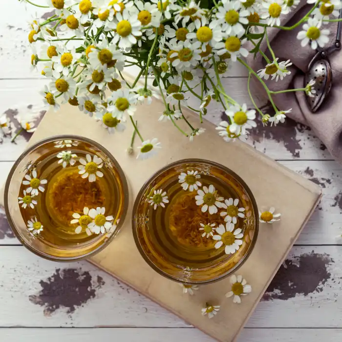 chamomile herb extract