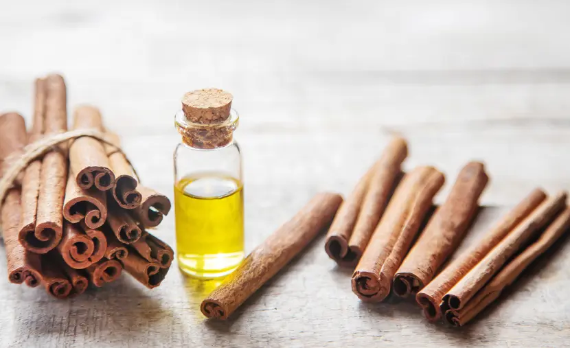 cinnamon bark essential oil