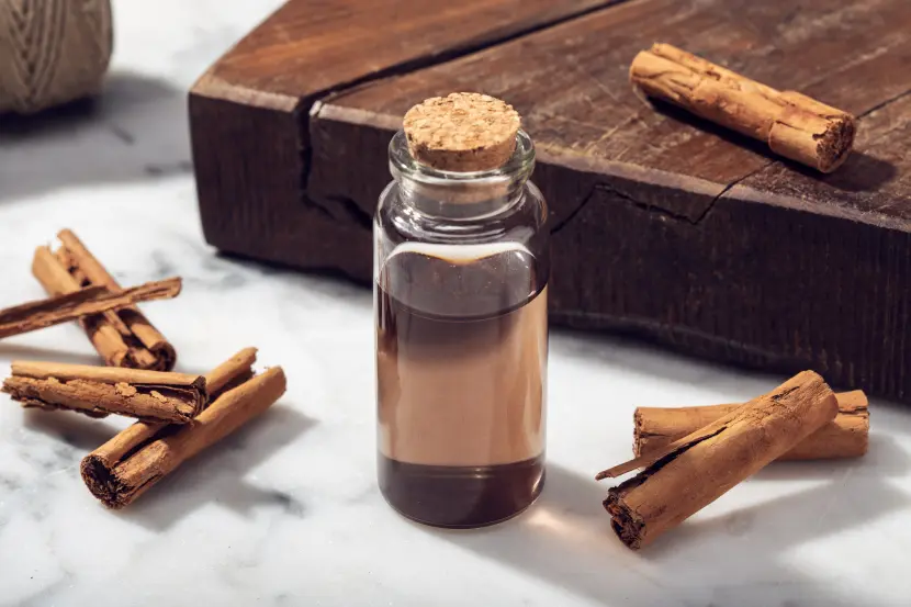 Cinnamon's Potential in Diabetes Management