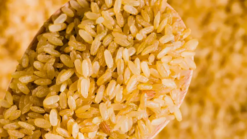 does brown rice have lutein