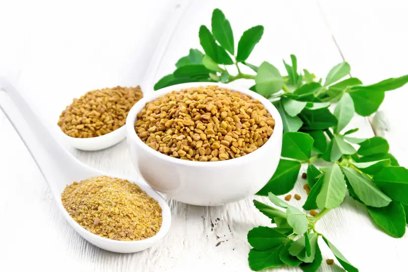 fenugreek powder