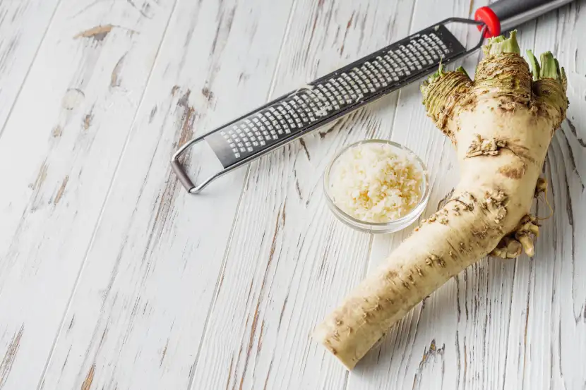 horseradish root