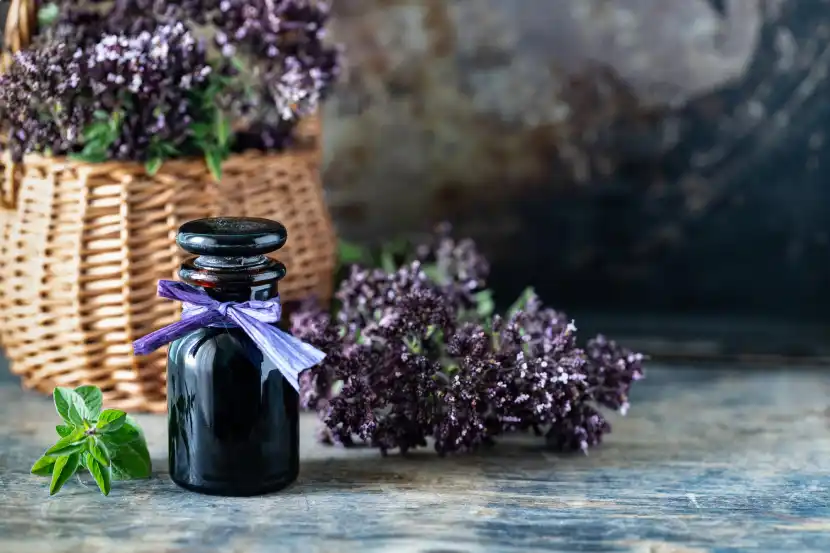 lavender extract for skin