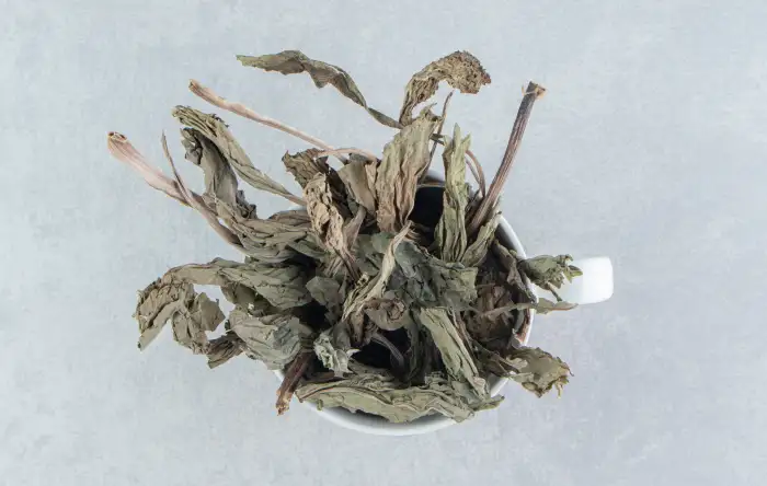 nicotiana tabacum extract