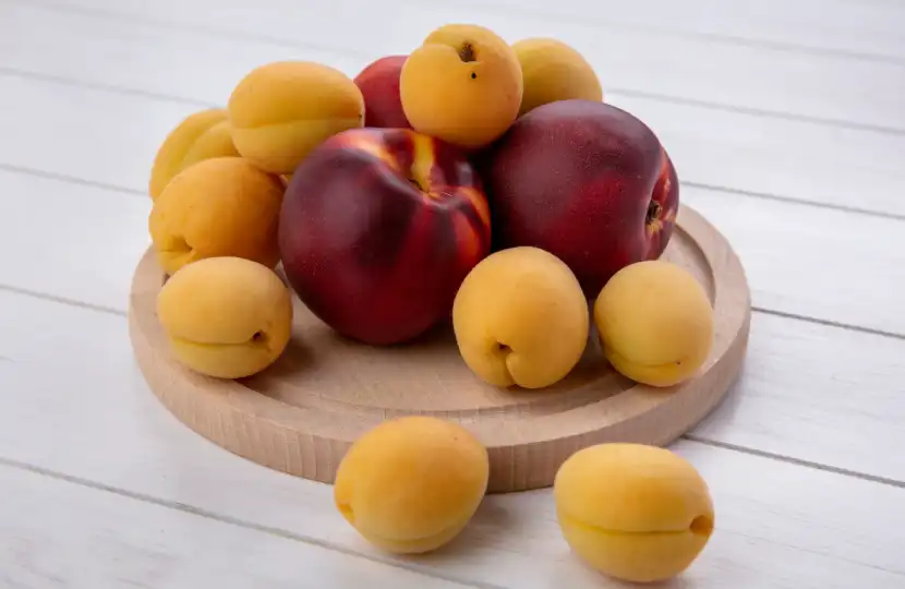 plum and apricot fruit