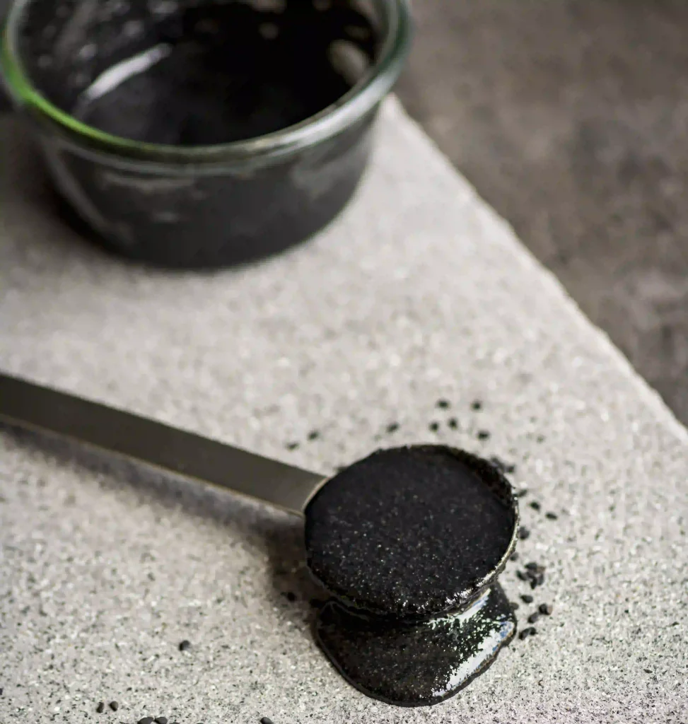 shilajit powder 2