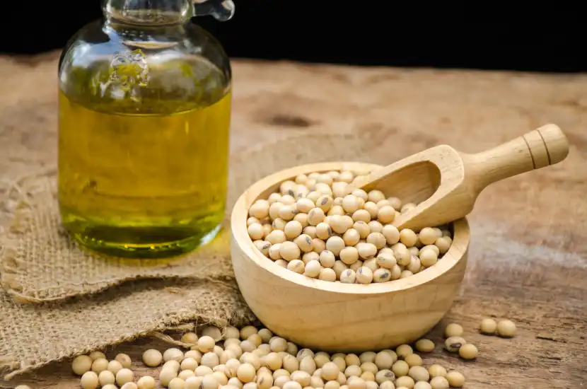 soybean oil for skin