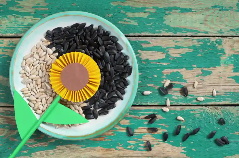 sunflower seeds for weight loss