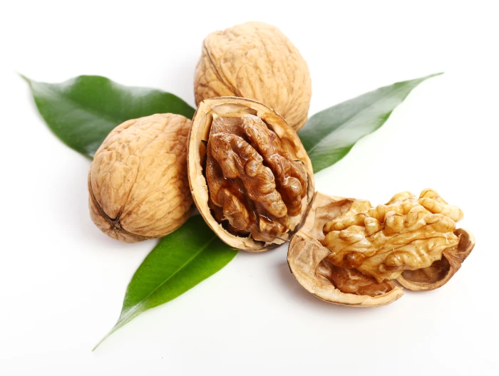 walnut fruit