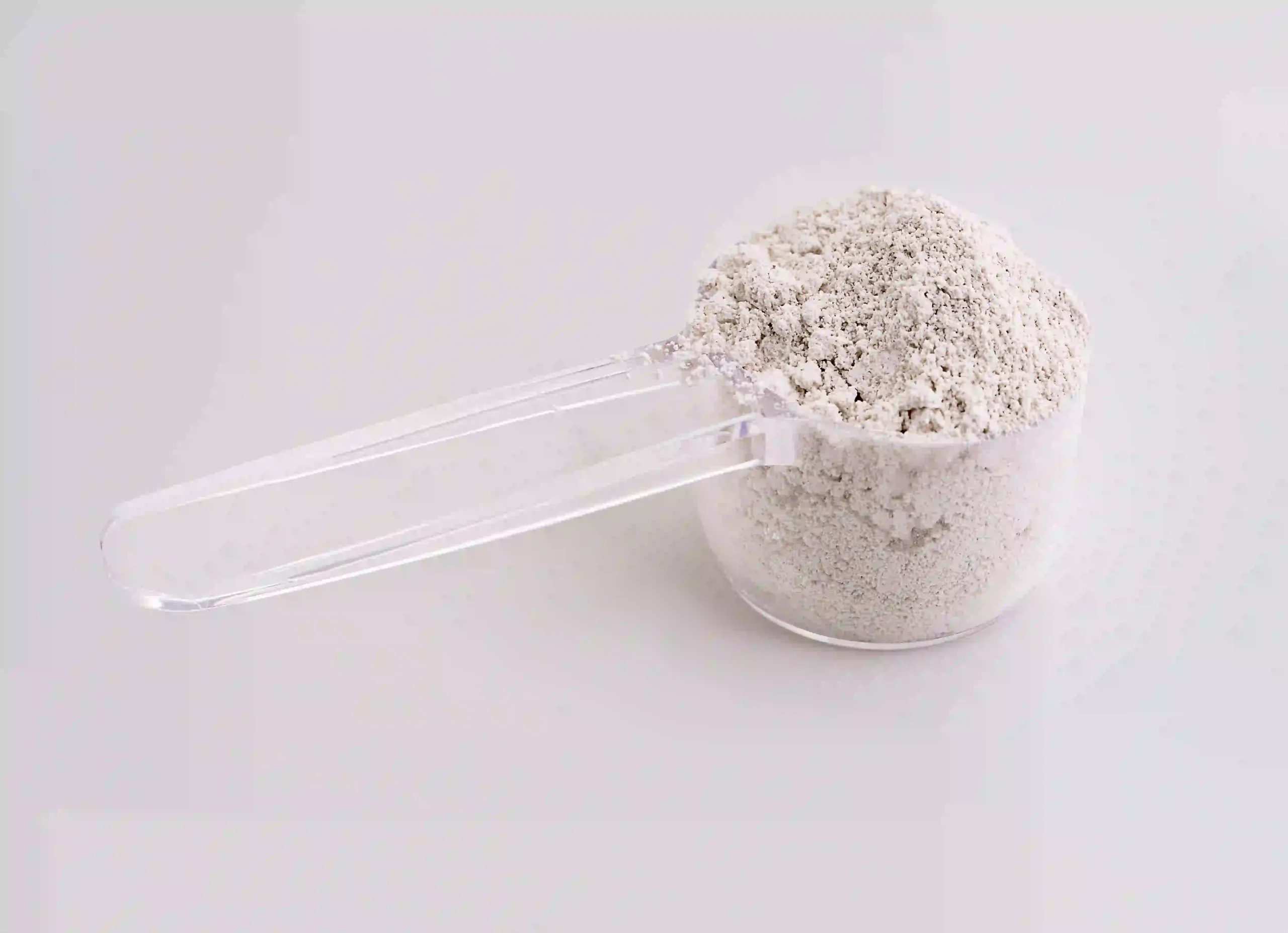 what is chitosan powder