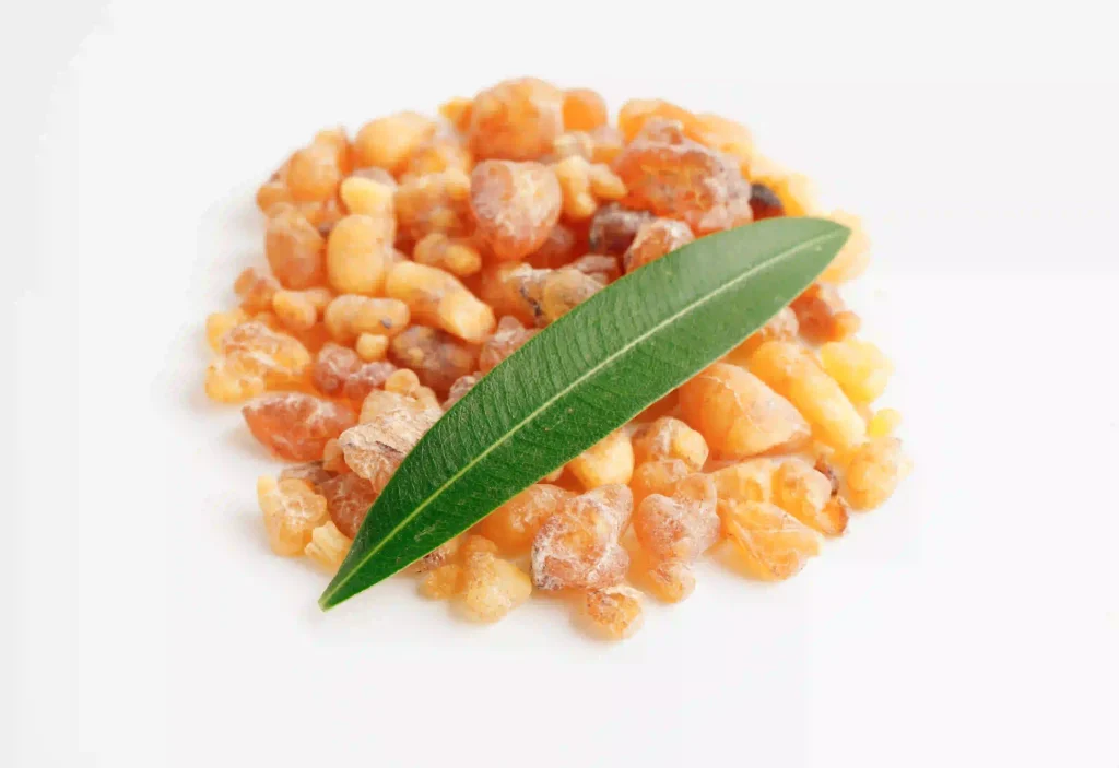 Boswellia Serrata Extract 3