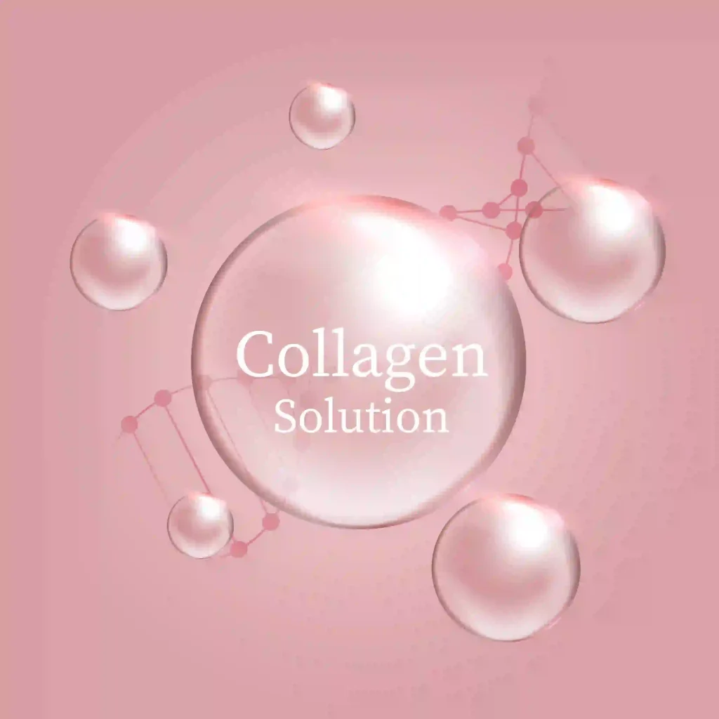 Bovine Collagen 2