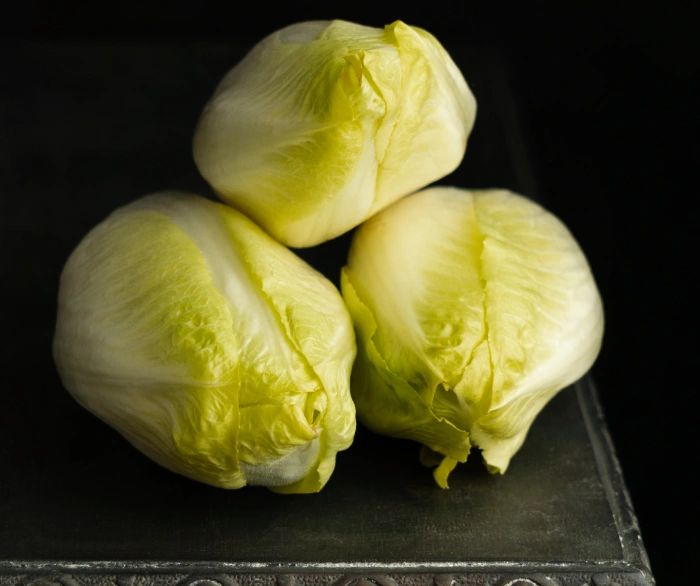 Brussels Chicory Enhances Exercise Performance and Recovery - Featured Image