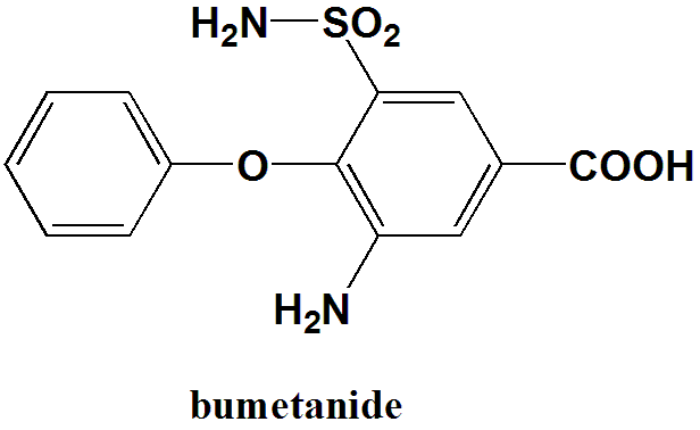 Bumetanide Nasal Spray Gains FDA Review: Potential New Treatment for Fluid Overload - Illustrations 1 - Bumetanide Nasal Spray