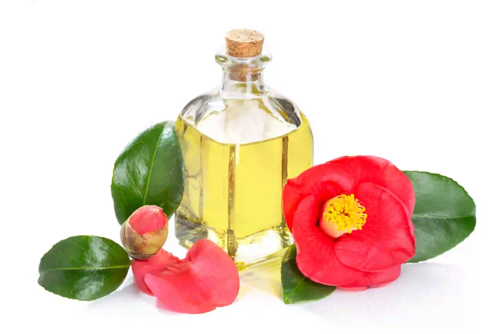 Camellia Oil 3