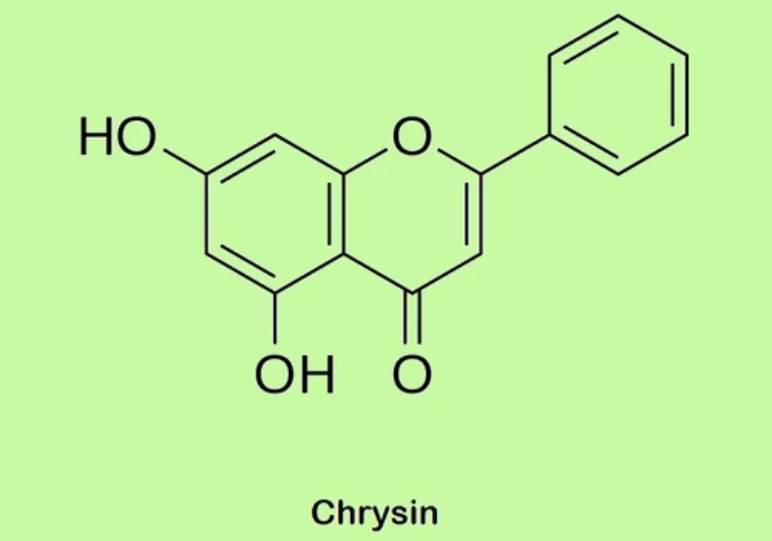 Chrysin’s Impact on Bone Health in Diabetic Rats - Featured Image