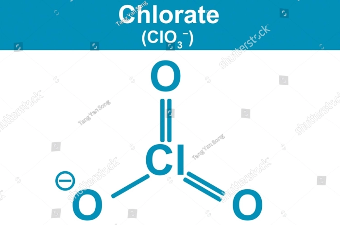 Coca-Cola Recall Due to High Chlorate Levels - Illustrations 1 - Coca Cola Recall