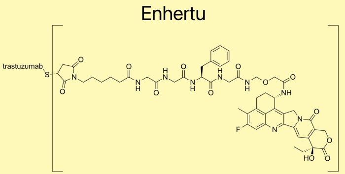 ENHERTU Gains FDA Approval for HR-Positive, HER2-Low Breast Cancer Treatment - Illustrations 1 - ENHERTU Gains FDA