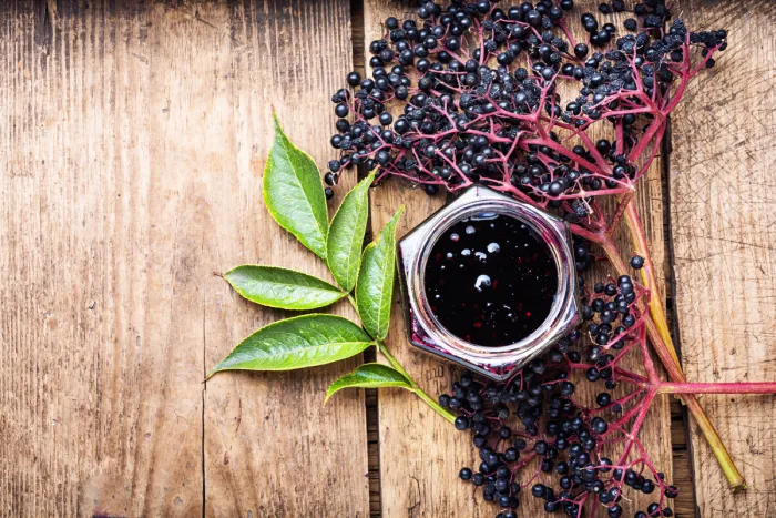 Elderberry’s Powerful Impact on Metabolic Health - Featured Image