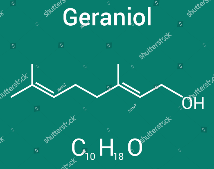 Geraniol: A Promising Supplement for IBS Relief - Featured Image