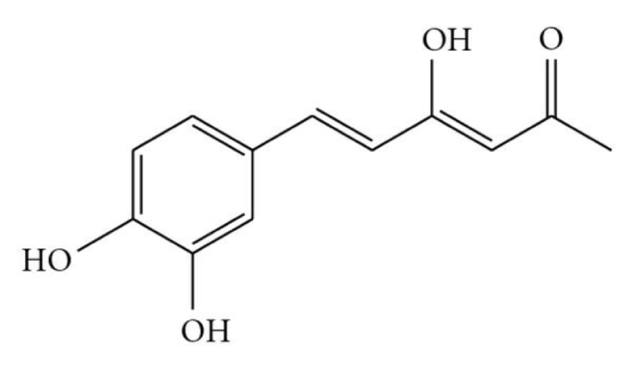 Hispolon: A Promising Mushroom-Derived Compound for Diabetic Wound Healing - Featured Image