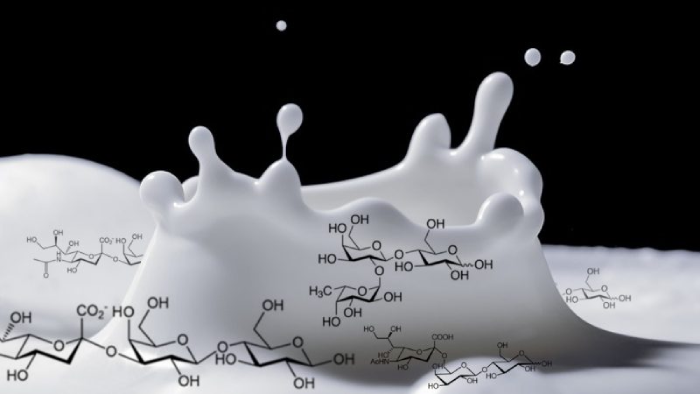 Human Milk Oligosaccharides: Unlocking the Secrets of Nature’s Perfect Food - Featured Image